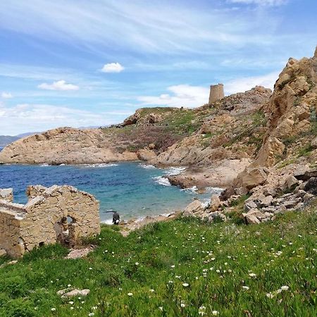 Joli Appartement En Corse Avec Piscine Belgodere  Exterior photo